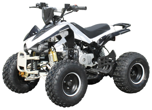 ATV Speedy 125cc för barn och vuxna. M skivvbromsar, fjärrstart. - Bild 6