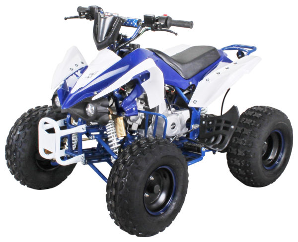 ATV Speedy 125cc för barn och vuxna. M skivvbromsar, fjärrstart.